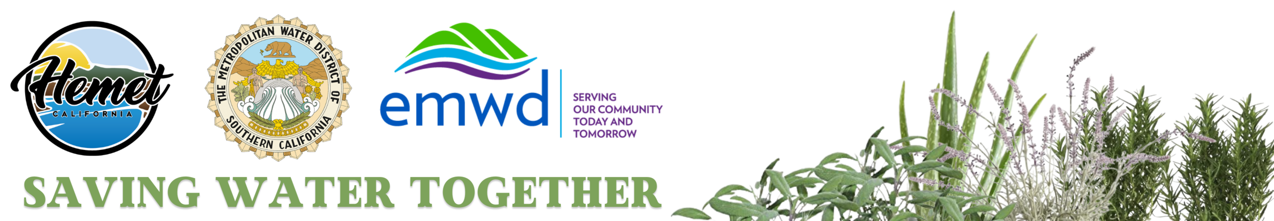 Cash For Grass Header